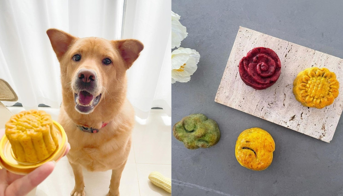 中秋節寵物月餅2021丨Dolly’s Bakery：中秋寵物月餅精美禮盒適逢中秋，自家製寵物零食．烘焙店Dolly’s Bakery就推出了中秋寵物月餅精美禮盒，希望毛孩們都可以和「奴才」一起分享中